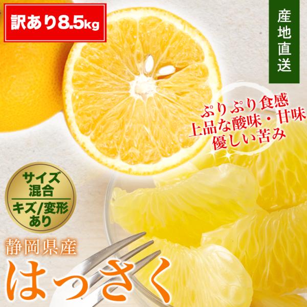 訳あり はっさく 八朔 約 8.5kg 送料無料 サイズ不揃い 産地直送 農家直送 8.5キロ 静岡...