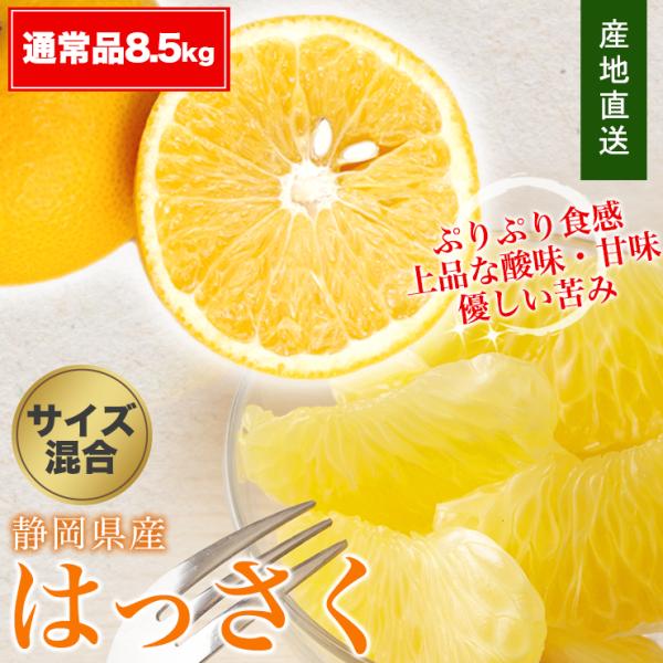 はっさく 八朔 約 8.5kg 送料無料 サイズ不揃い 産地直送 農家直送 8.5キロ 静岡県 大粒...