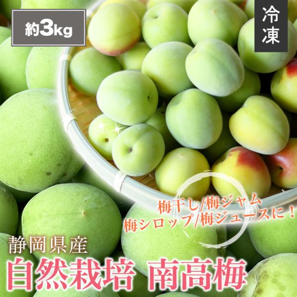 【 冷凍 】静岡県産 自然栽培 生 南高梅 約 3kg サイズ不揃い 送料無料 産地直送 農家直送 ...