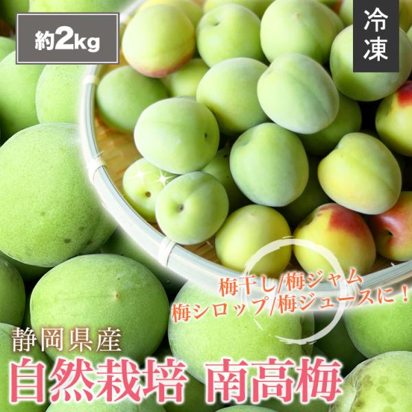 【 冷凍 】静岡県産 自然栽培 生 南高梅 約 2kg サイズ不揃い 送料無料 産地直送 農家直送 ...