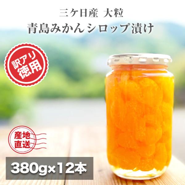 訳あり まるごと 三ヶ日 みかん シロップ 漬け 380g × 12本 セット 無添加 無着色 無香...