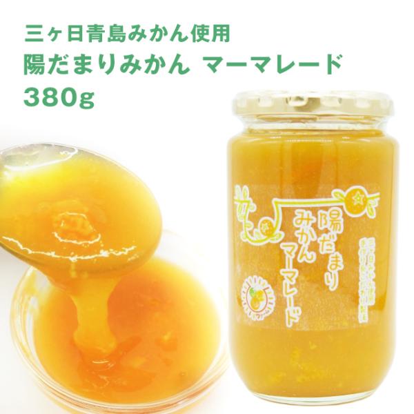 訳あり 三ヶ日 みかん マーマレード 380g 瓶 瓶詰め オレンジマーマレード 三ヶ日みかん 三ケ...