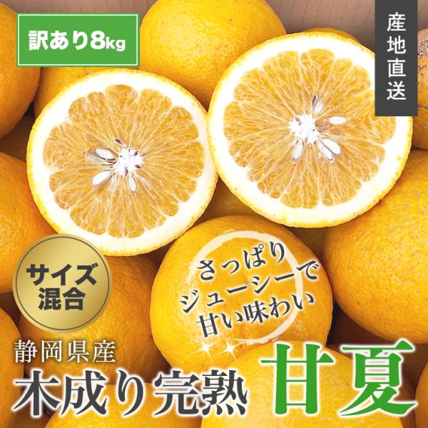 【 訳あり 】 木成り 完熟 甘夏 みかん 約 8kg 送料無料 サイズ不揃い 産地直送 農家直送 ...