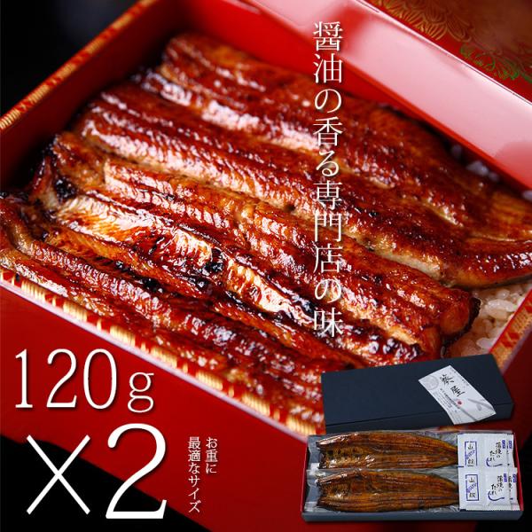 おまけ付 国産 うなぎ お中元 ギフト セット 120g長焼き×2尾 蒲焼 真空 パック 浜名湖 愛...