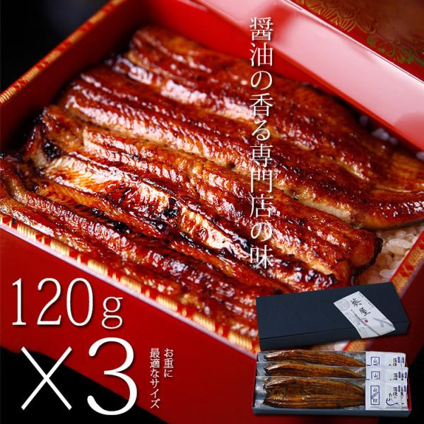 おまけ付 国産 うなぎ お中元 ギフト セット 120g長焼き×3尾 蒲焼 真空 パック 浜名湖 愛...