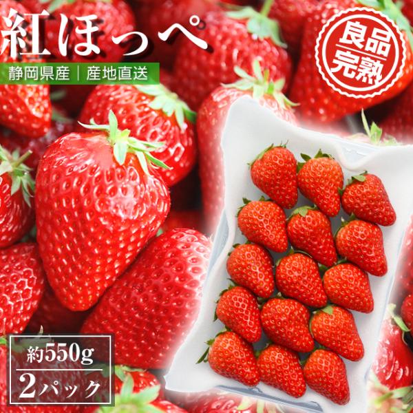 朝採れ いちご 紅ほっぺ 約 550g ( 18 ~ 30玉入り ) 農家 直送 静岡 苺 イチゴ ...