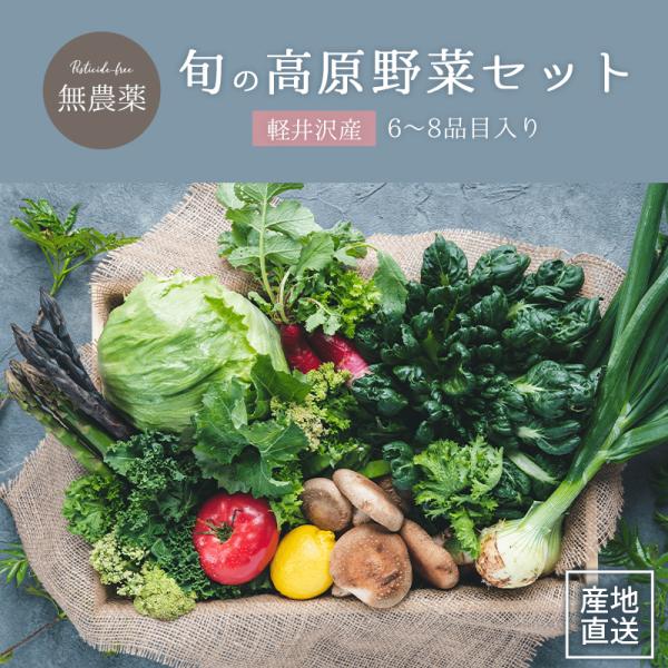 【 6~8品目入り 】軽井沢産 無農薬 朝採り 高原野菜 詰め合わせ セット 長野県 軽井沢 レタス...