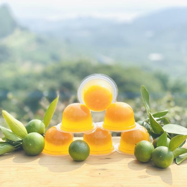 ゴロっとまるごと！インデンみかんゼリー６個セット まるごとみかんゼリー 寒天ゼリー 無添加 無着色 ...