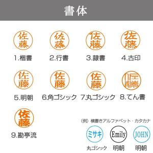 かわいい シャチハタ イラスト 入り データー...の詳細画像4