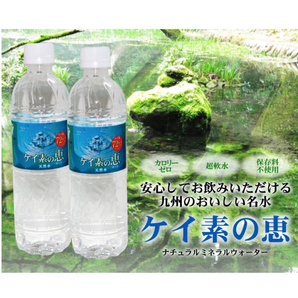 自宅用にいかがですか。 ケイ素の恵（天然水）525ml×24本 ペットボトル