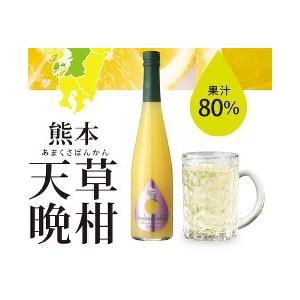 ノンアルドリンク【九州果実シロップ】 福田農場　熊本県　天草晩柑シロップ　500ｍｌ