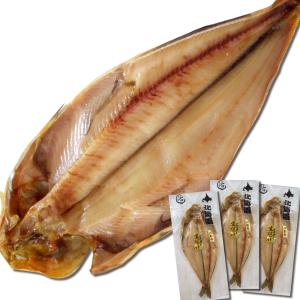 ま印水産 干物 一夜干し Yahoo ショッピング