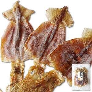 おつまみ 肉厚 スルメ 約50g×3枚 北海道産 大きい スルメイカ 干物 乾物 珍味