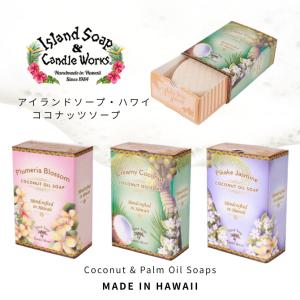 全身洗える3in1青汁全身シャンプーK 1L IT-2108-02 日本製 : サンアイ
