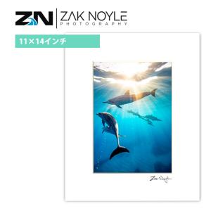 世界に一つのシリアル入り】 青眼の白龍 クリスタルアート ブルー