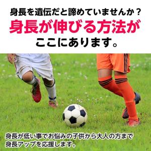 GH-Creation 身長サプリメント ジー...の詳細画像1