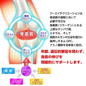 GH-Creation 身長サプリメント ジー...の詳細画像2