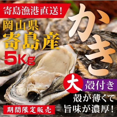 岡山県寄島産殻付き牡蠣（大）約５kg 加熱調理用 Ｌサイズ　かき カキ 牡蠣 殻付き 岡山 寄島 牡...