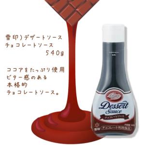 業務用　製菓材料　雪印）デザートソース　チョコレートソース  ５４０ｇ　パンケーキ　アイスクリーム　ワッフル　お祭り　学園祭　学校祭　キャンプ｜makariro-sankitchen