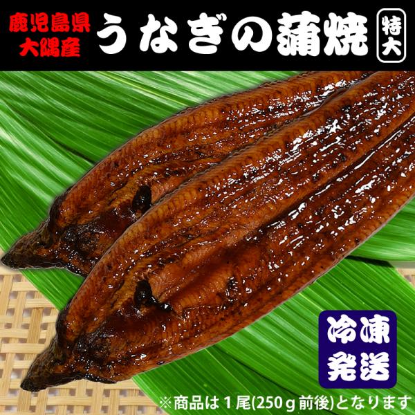 うなぎ 蒲焼 特大 220g前後 鹿児島県 大隅産 国産 タレ付き 冷凍発送
