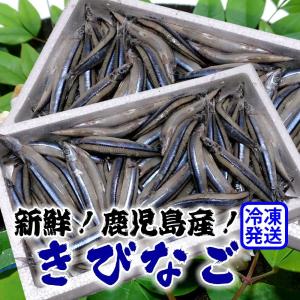 鹿児島 きびなごの商品一覧 通販 Yahoo ショッピング