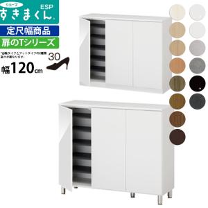 すきまくん シューズ ボックス ESP-LT120 ESP-FLT120 幅120×奥行40.5×高さ：台輪タイプ95.7 フットタイプ100.2cm 下駄箱｜make-space