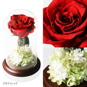 プリザーブドフラワー プレゼント ギフト 花 ...の詳細画像4