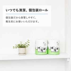 個包装 トイレットペーパー ダブル 30m 1...の詳細画像3