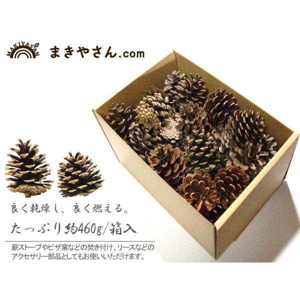 松ぼっくり（たっぷり約460ｇ/箱）※目安60個前後　焚付最適