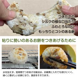 冷凍)玄米餅もち麦入 エコ農産物 杵つき餅 雑...の詳細画像1