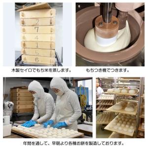 冷凍)玄米餅もち麦入 エコ農産物 杵つき餅 雑...の詳細画像2
