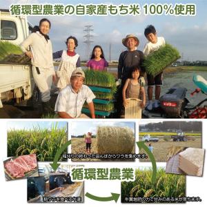 冷凍)玄米餅もち麦入 エコ農産物 杵つき餅 雑...の詳細画像4