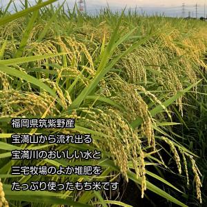 冷凍)玄米餅もち麦入 エコ農産物 杵つき餅 雑...の詳細画像5