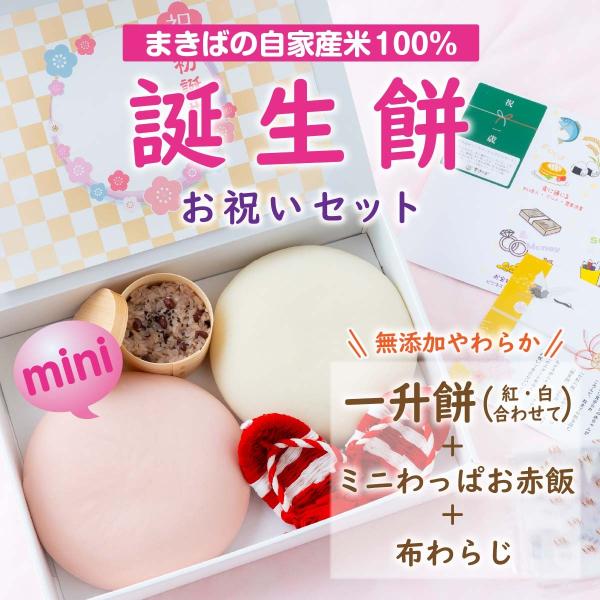 一升餅 誕生餅 ふみもち 1歳お祝い ミニ紅白１升 赤飯 わらじ 風呂敷 えらびとりカード お名前誕...