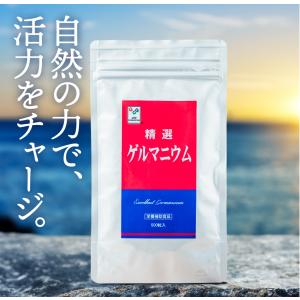 有機ゲルマニウム　100g  ジャパンアルジェ　在庫多数あり ハイパー有機ゲルマニウム100_2袋
