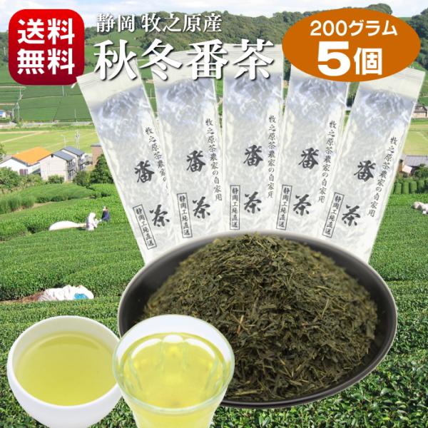 【原料価格高騰のため内容量変更】 お茶 番茶 秋冬番茶 秋摘み 健康茶 ポリサッカライド 静岡茶 秋...