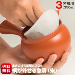 網が外せる キレイに洗える 急須 国産 常滑焼 ...の商品画像