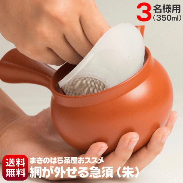 網が外せる キレイに洗える 急須 国産 常滑焼 3名様用 350ml 送料無料 深蒸し茶急須  ベー...