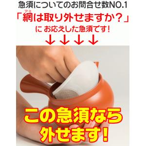 網が外せる キレイに洗える 急須 国産 常滑焼...の詳細画像1