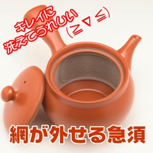 網が外せる キレイに洗える 急須 国産 常滑焼...の詳細画像2