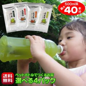 お茶 パック 500ml ペットボトル 最大40本作れる 烏龍茶 和紅茶 水出し 日本茶 ティーバッグ｜makinoharacha