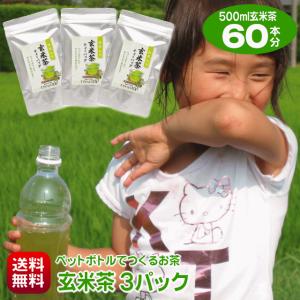 送料無料 玄米茶 500ml 90本分 ティーバッグ 30個入り×3パック 抹茶入り ポスト投函 水出し 冷茶