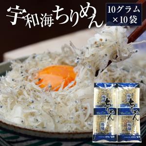 宇和海ちりめんパック100g(10ｇ×5袋×2)　ちりめん　チリメン　個パック　特殊パック　常温保存　送料無料｜makinokaisan