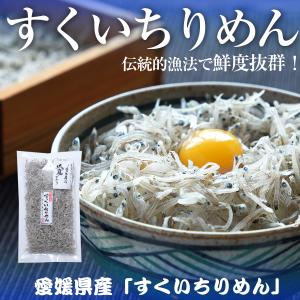 すくいちりめん100g すくいちりめん ちりめん