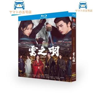 日本語字幕あり 華ドラ 中国ドラマ「雲之羽（うんしう）?闇に煌く光?」high definition 中国本土 サスペンス 冒険 恋愛 時代 北京語