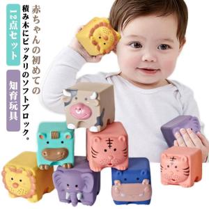 レインボータワー タワー スピンタワー スピンアゲイン 知育 玩具