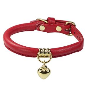 バーディ  747 BIRDIE バーディ 小型犬 猫用本革首輪 ジェントルリリーカラー レッド