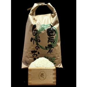 鹿児島県産 ひのひかり新米 5kg 送料無料 ノウカーズ ヒノヒカリ おいしいお米