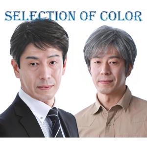 男性用かつら 100%人毛ウィッグ メンズウィッ...の商品画像