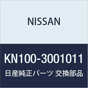 NISSAN(ニッサン) 日産純正 No.2500 DOT3 ブレーキフルード 1L KN100-3001011｜makotoya1259